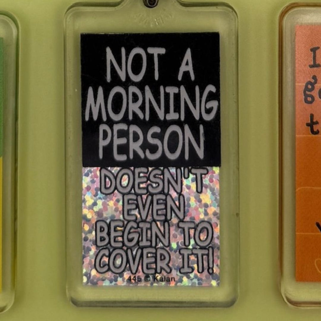 Vintage 90's Y2k Comedy Quote Keychains: Drop 2