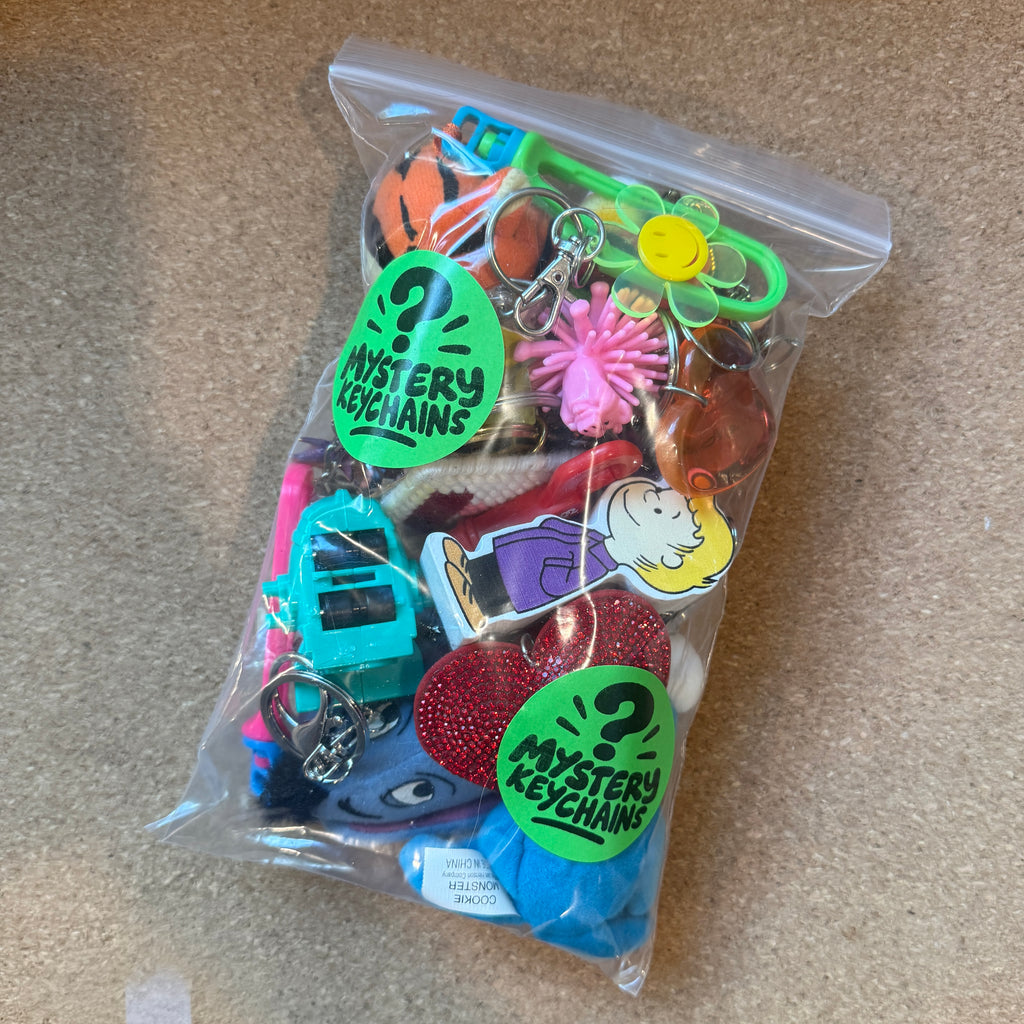 Mystery Blind Box Vintage Keychains