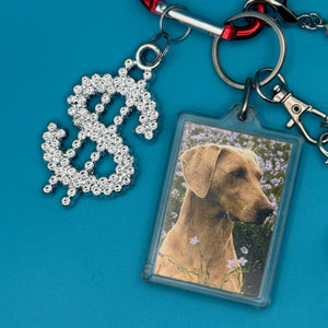 1:1  Red Heart + Dog   Pack - vintage bag charm packs nostalgia vintage y2k vintage keychain vintage charms for bag nostalgia vintage keychains y2k collectible - Bag Crap