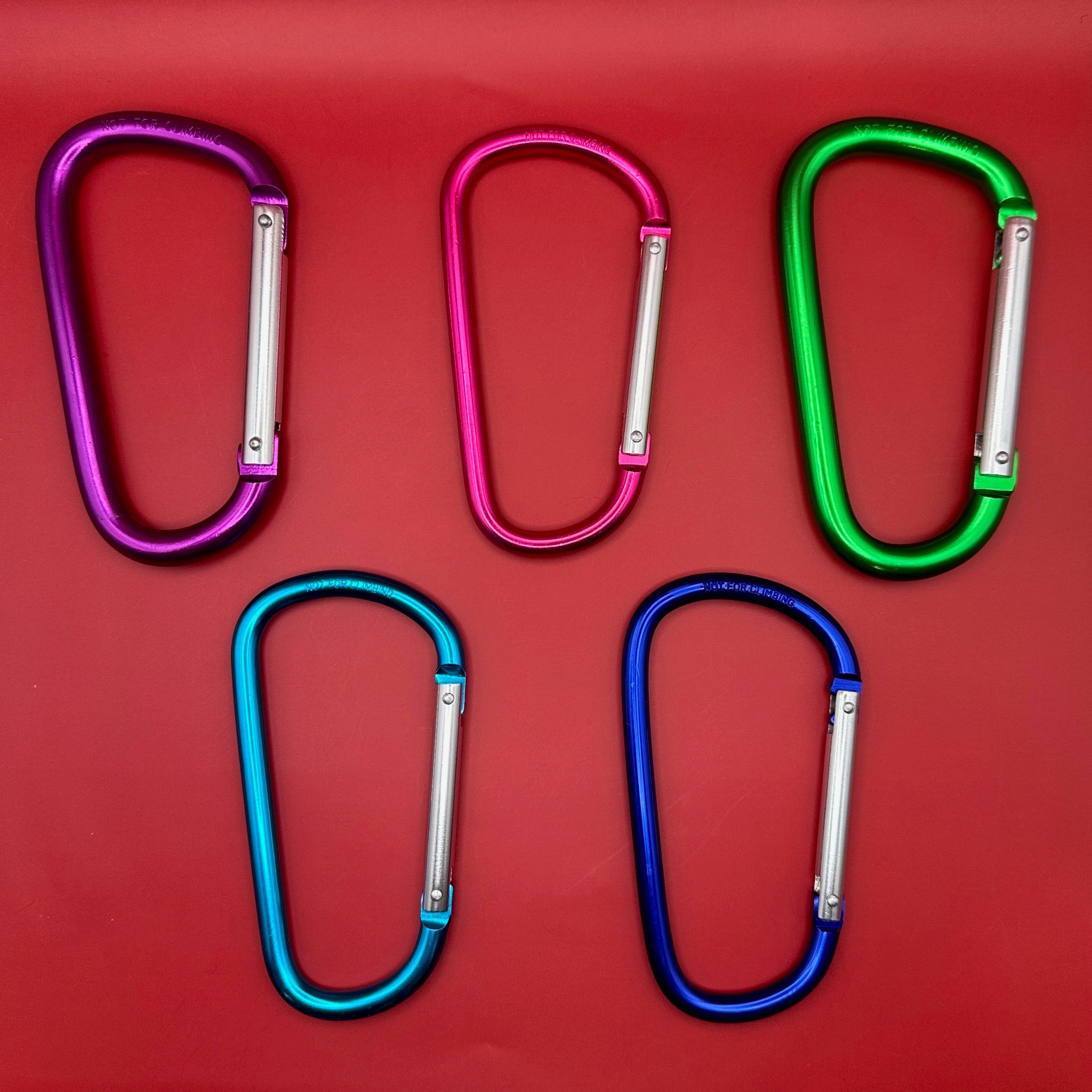 XXL Metal Carabiner Clip  s - clips carabiners charms keychains bag designer vintage keychain vintage charms for bag nostalgia vintage keychains y2k collectible - Bag Crap