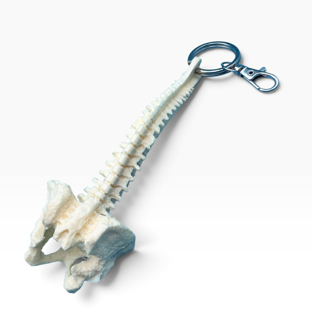 Vintage 1980s-1990s Skeleton Halloween Keychain Bag Charms
